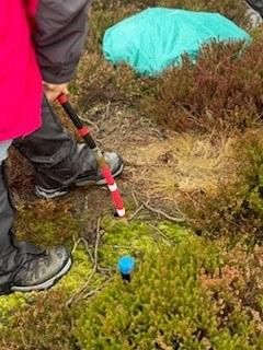 Measuring Pear at Ilkley Moor