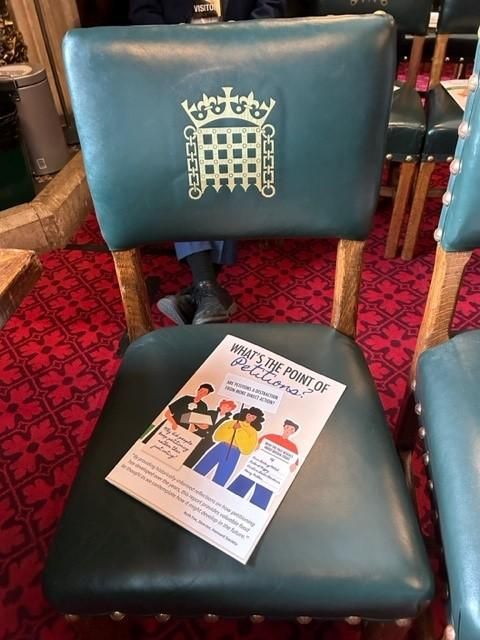 Photograph of printed visual summary, placed on a chair, titled 'What's the point of petitions?'.