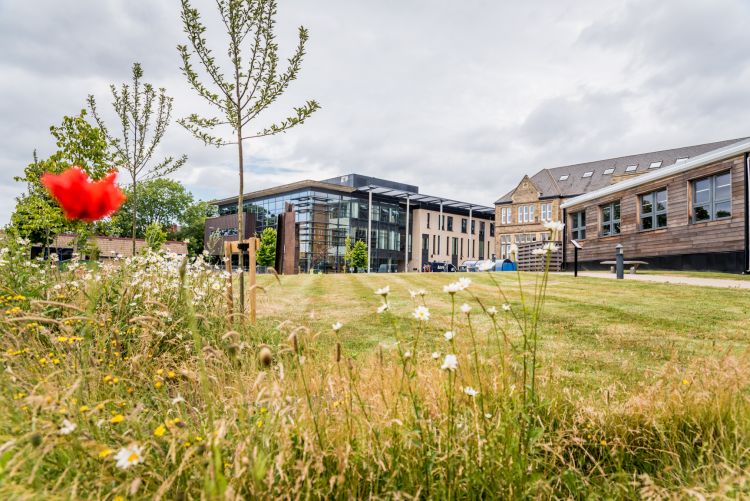 School of Law ranked within top 100 in the world for Law and Legal Studies