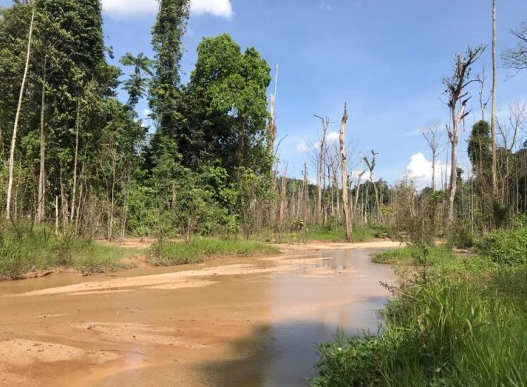 A road in Malaysia