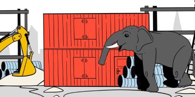 A film still from Dr Zavoli's film. An elephant is to the right of the image, with the rest of the screen filled with construction materials and a digger.