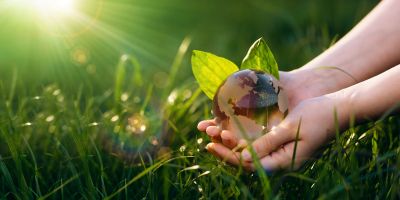 Hand holding glass earth in grass