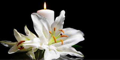 Lily on a table next to a white candle
