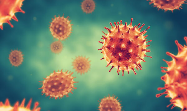 Image of Coronavirus cells