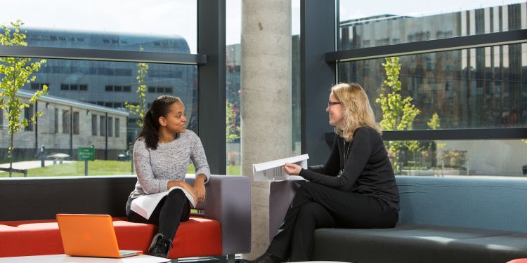 Academic and researcher in the school of law