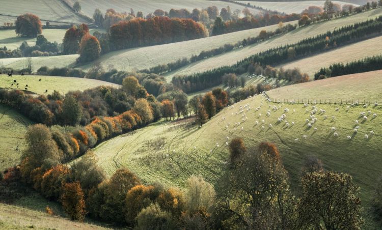 School of Law academics provide evidence to EFRA Committee enquiry into COVID-19 and food supply